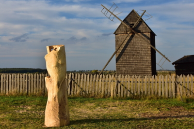 Šaty pro mlynářku, topol, Raabův mlýn 2019, 260 cm Šaty pro mlynářku, topol, Raabův mlýn 2019, 260 cm